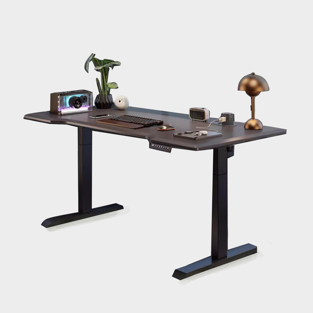 Electric Standing Desk